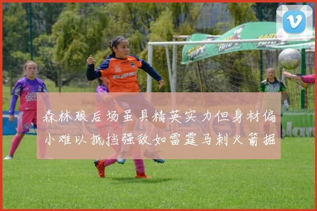 森林狼后场虽具精英实力但身材偏小难以抵挡强敌如雷霆马刺火箭掘金