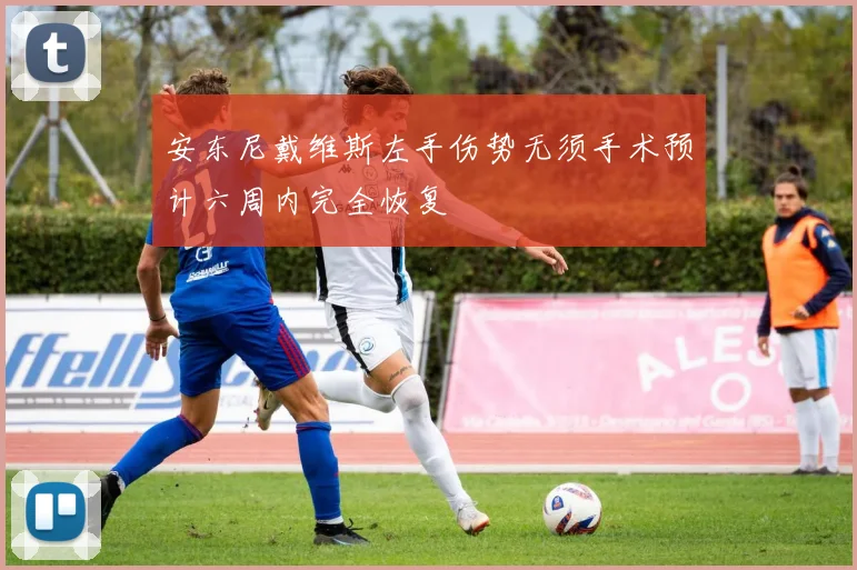 安东尼戴维斯左手伤势无须手术预计六周内完全恢复