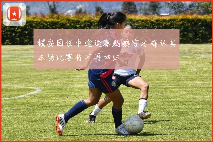 锡安因伤中途退赛鹈鹕官方确认其本场比赛将不再回归